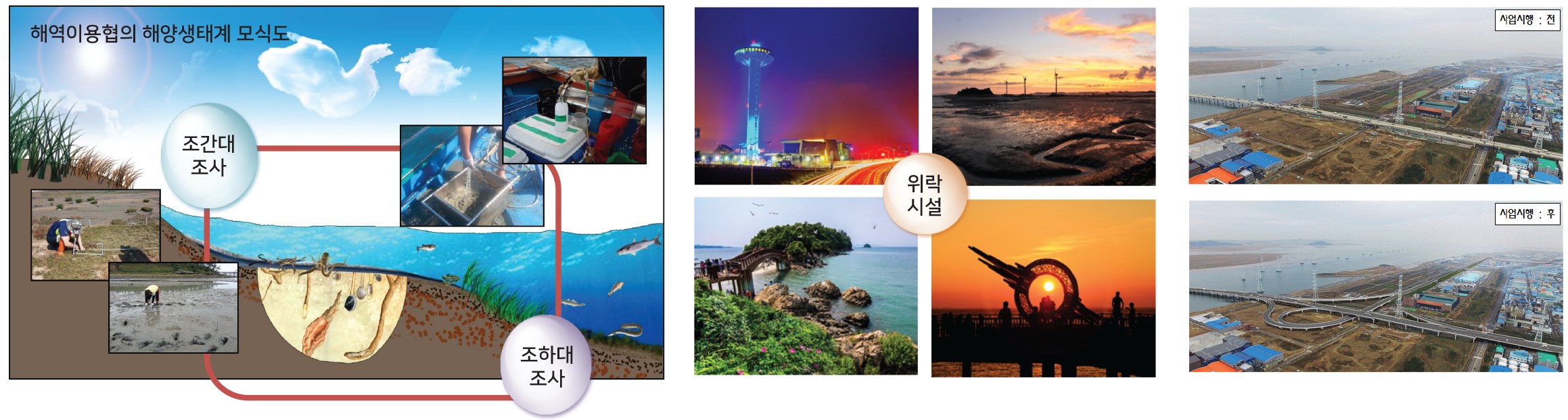 해역이용협의 해양생태계 모식도(조간대·조하대 조사), 위락시설, 사업시행 전·후 비교