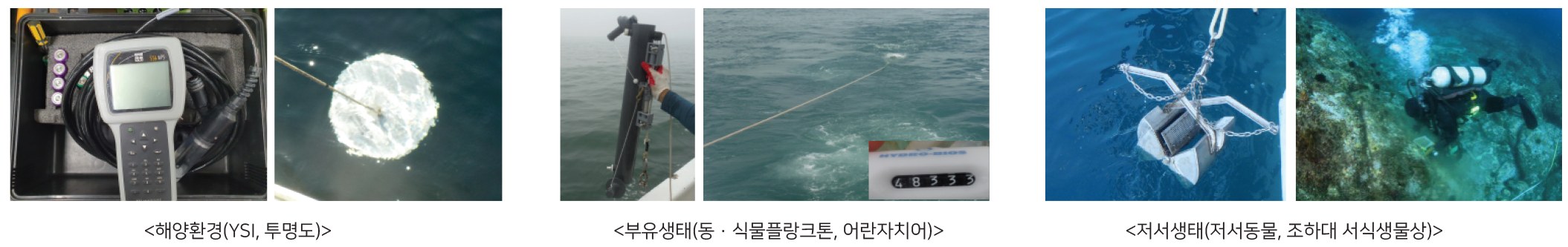 해양환경(YSI, 투명도), 부유생태(동·식물플랑크톤, 어란자치어), 저서생태(저서동물, 조하대 서식생물상)