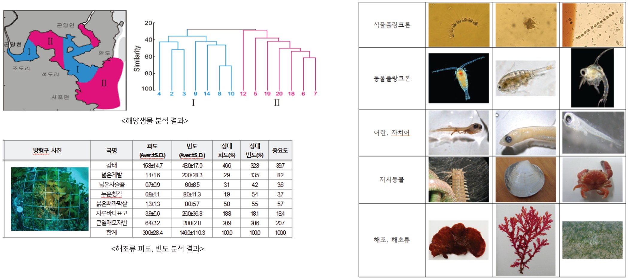 해양생물 분석 결과, 해조류 피도·빈도 분석 결과, 플랑크톤·어란자치어·저서동물·해조류 표본